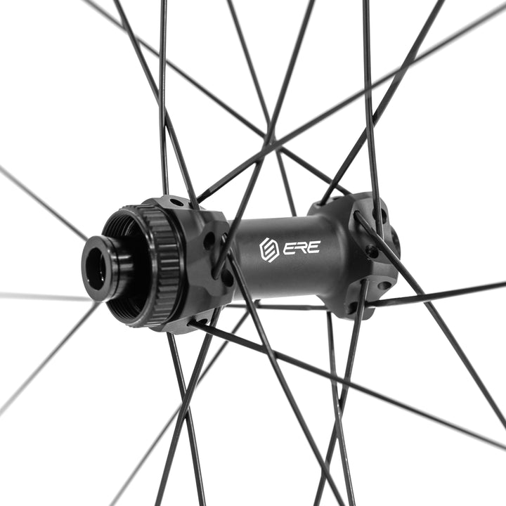Tubeless-ready Tenaci GT25 with Sapim spokes and nipples